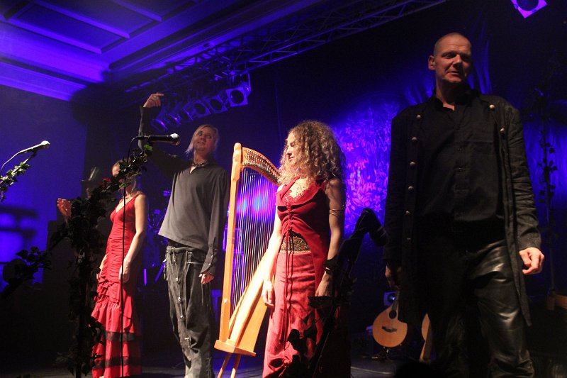 IMG_0142.JPG - Faun in Erfurt am 4.11.2011