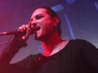 2569 600D IMG 8112