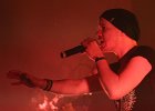 IMG 2477