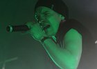 IMG 2755