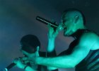 IMG 2835