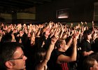 IMG 3461