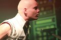 IMG_0341