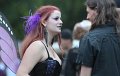 IMG_8251a