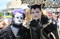 IMG_7953