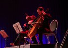 IMG 4850